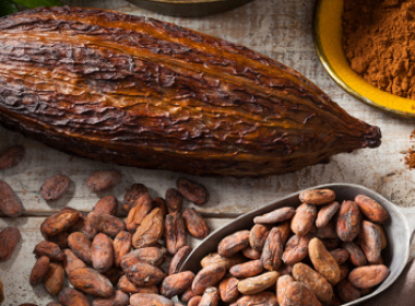 Propiedades cacao